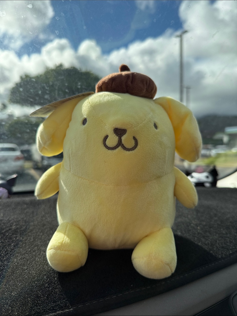 Pompompurin (Hello Kitty and Friends)